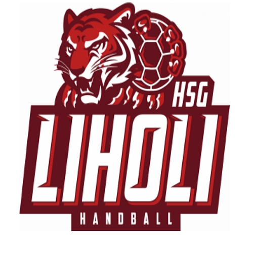 HSG LiHoLi